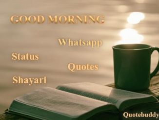 Good Morning Status