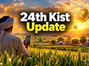 Indian farmer in wheat field checking phone for PM Kisan 24th installment update